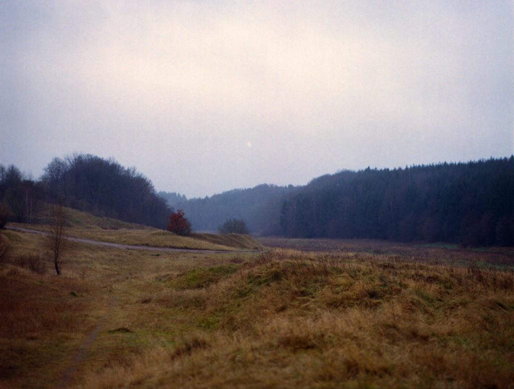 Weiter Blick auf eine Wiese mit Waldrand in der Ferne.