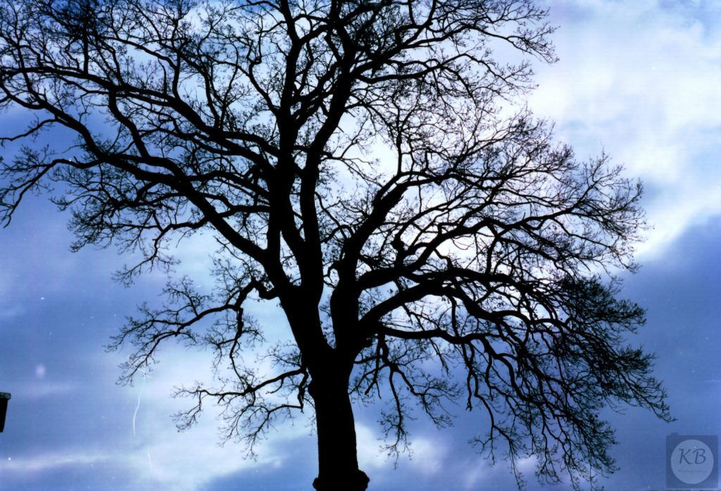 test001