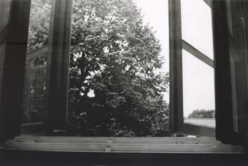 Die Agfa-Box Bilder sind da! Die Agfa-Box Bilder sind da!