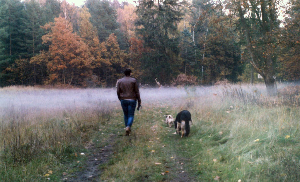 Frau mit Hunden im Nebel