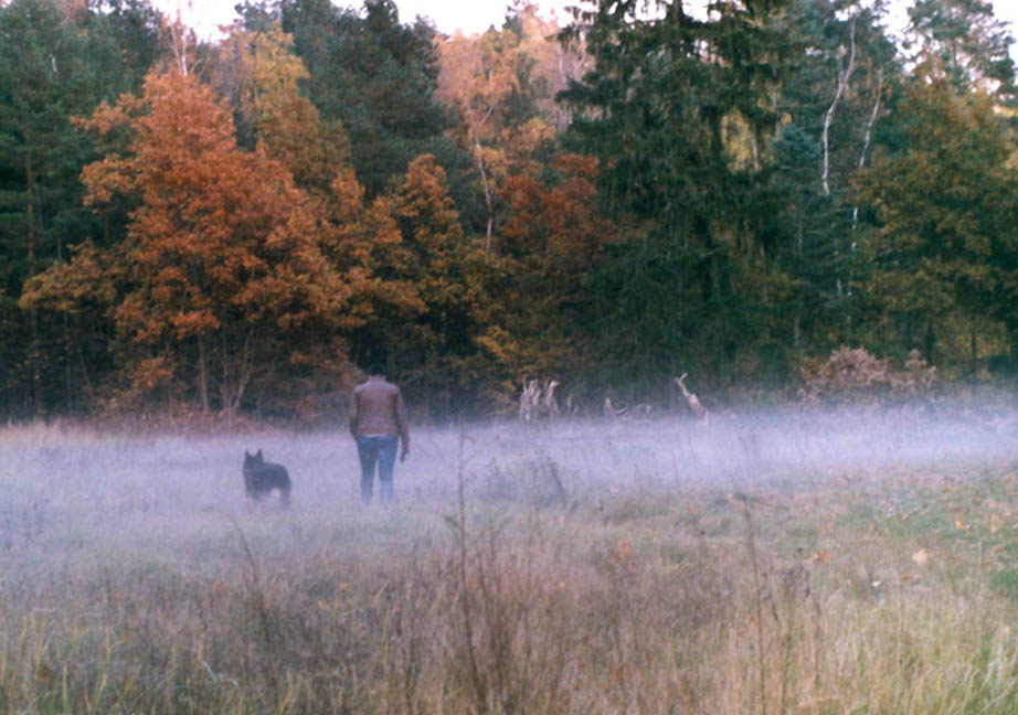 Hund, Fau und Nebel