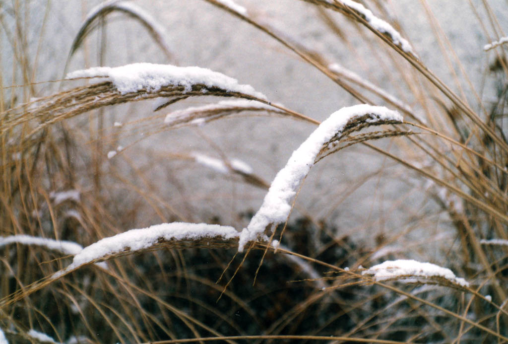 F21_1_web