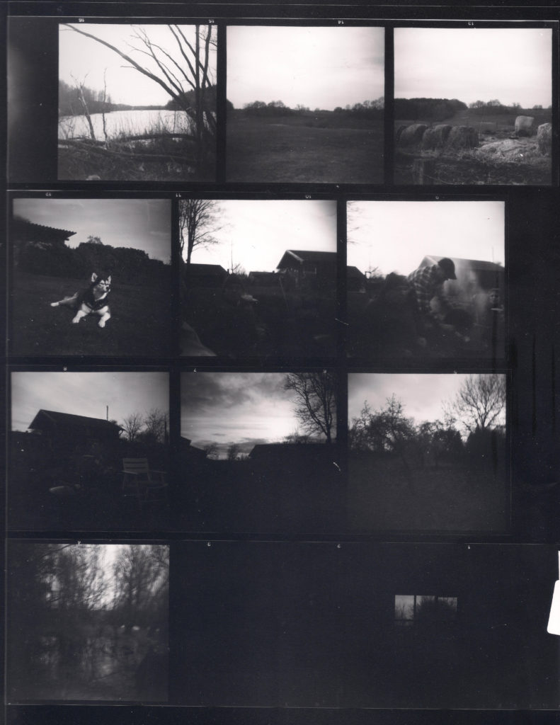 Das sind die Kontakabzüge der Negative vom Rollei Ortho 25