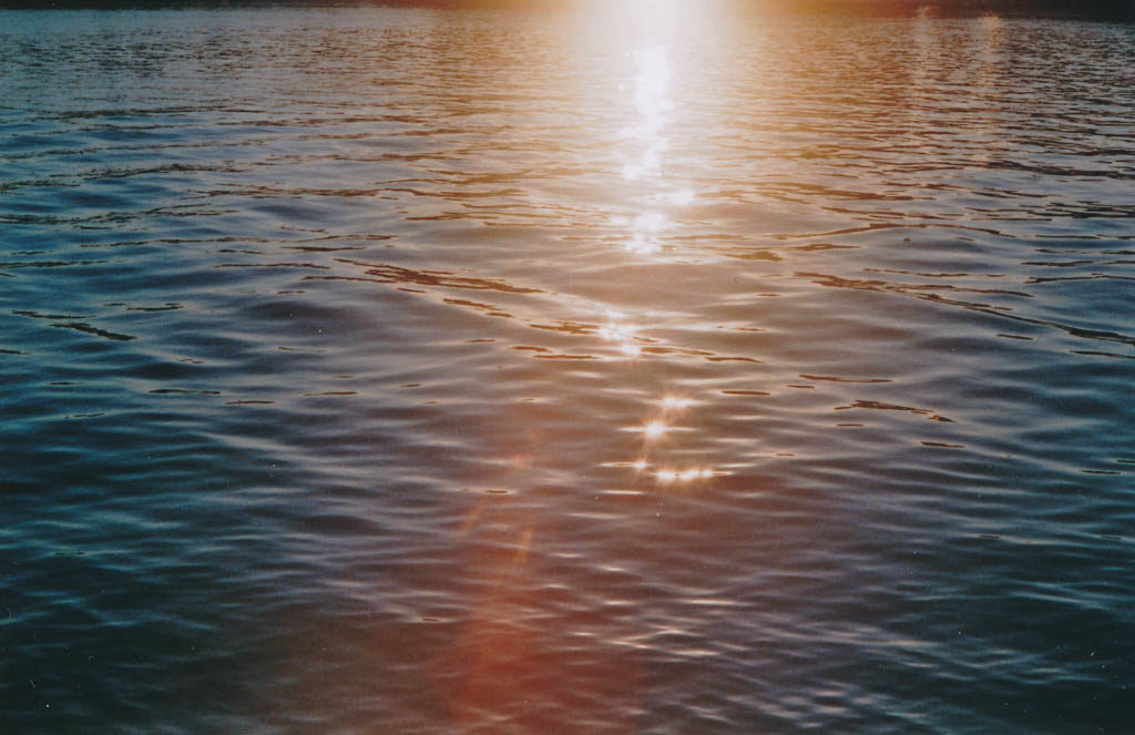 rf09_b07_web