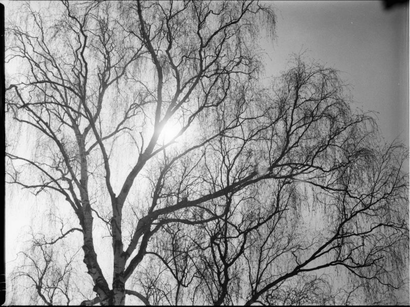 Landschaft in Schwarz/Weiß