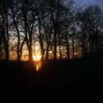 Analoge Aufnahme eines Sonnenuntergangs hinter Bäumen