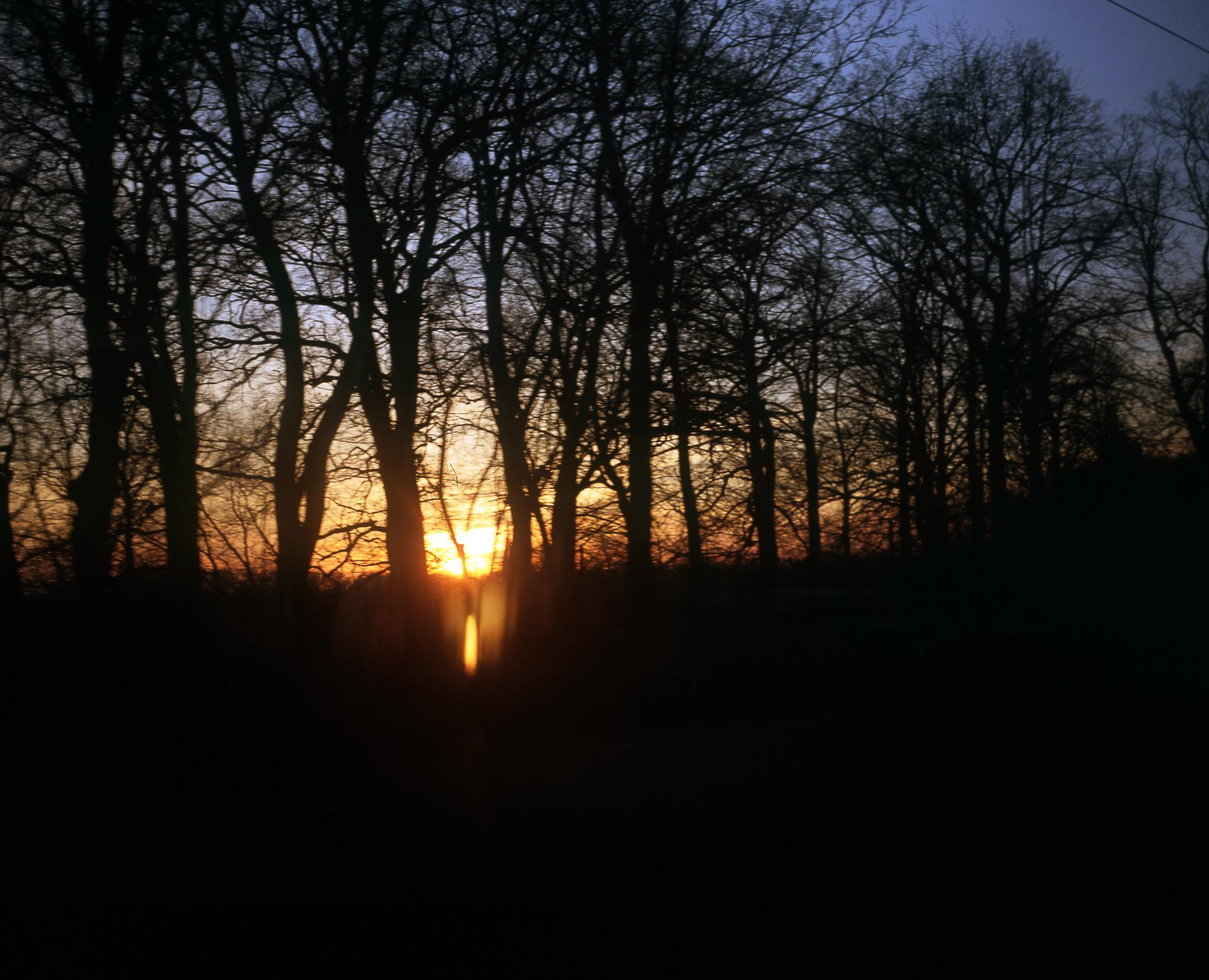 Analoge Aufnahme eines Sonnenuntergangs hinter Bäumen