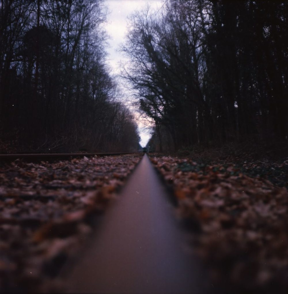 Gleise im Wald auf Kodak Portra 400