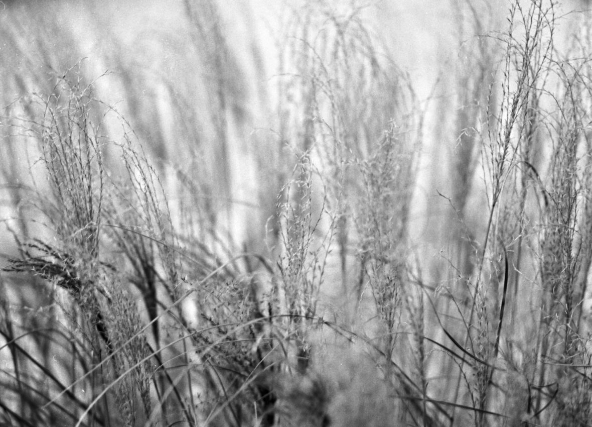 Winterbilder mit der Mamiya M645 Winterbilder mit der Mamiya M645