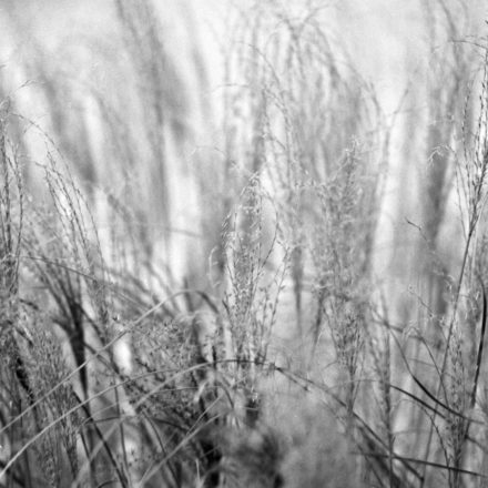 Winterbilder mit der Mamiya M645