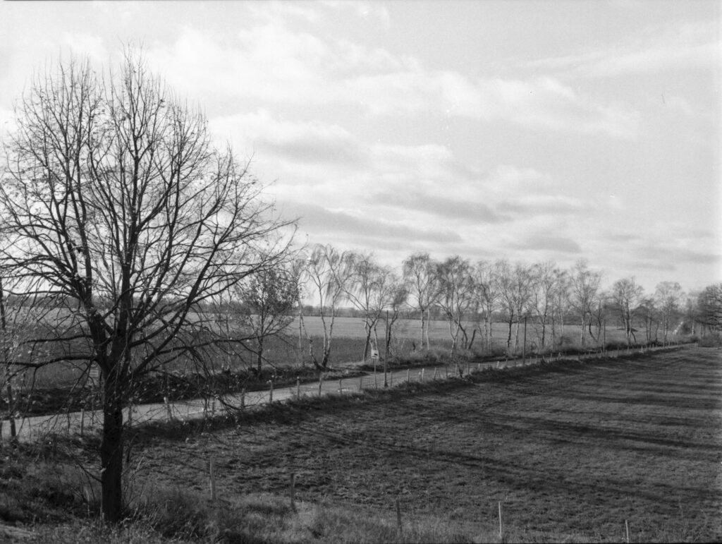 Ausblick auf Feld.